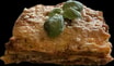 Lasagne Classic